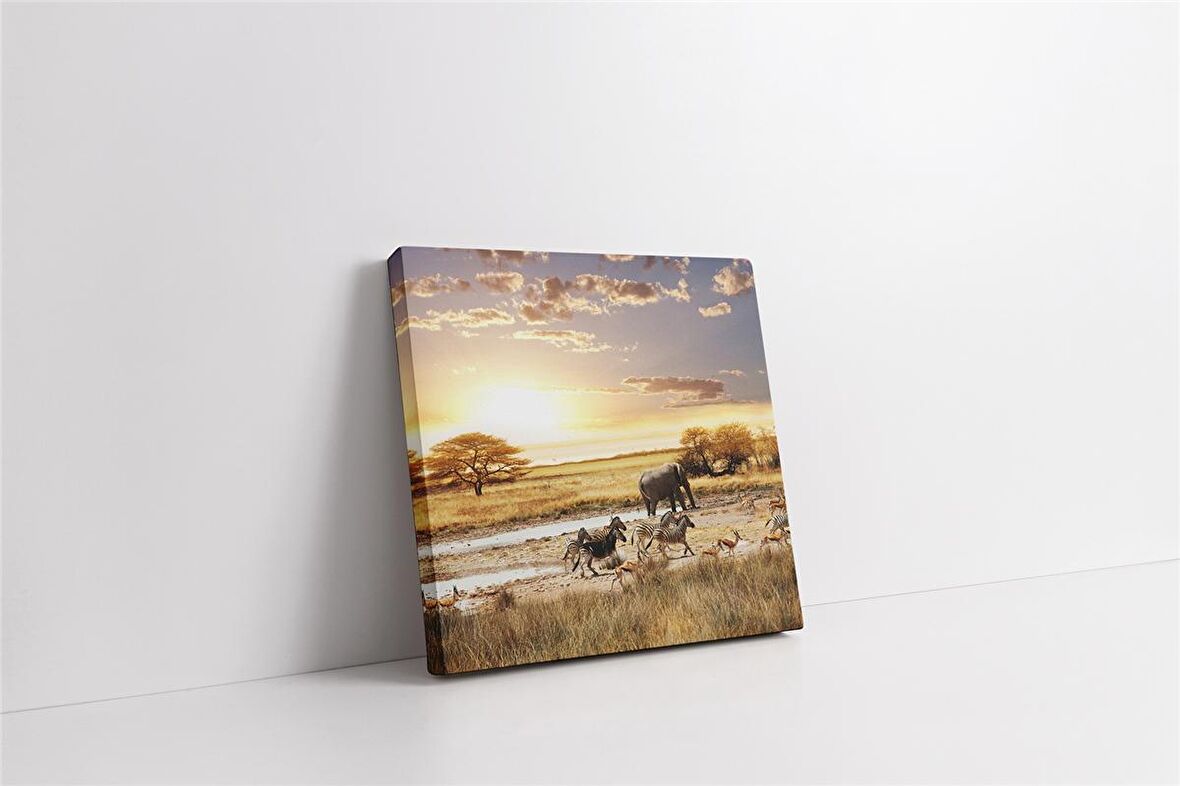 Safari Kanvas Tablo