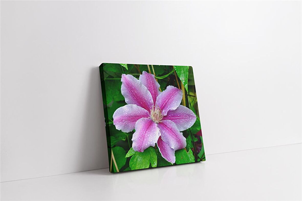 Mor Çiçek Kanvas Tablo
