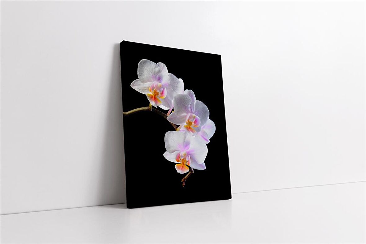 Beyaz Çiçek Kanvas Tablo