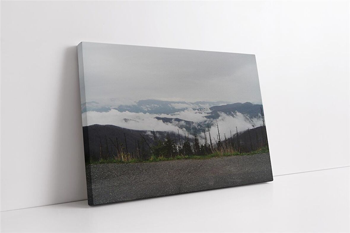 Bulutların Üzerinden Orman Kanvas Tablo