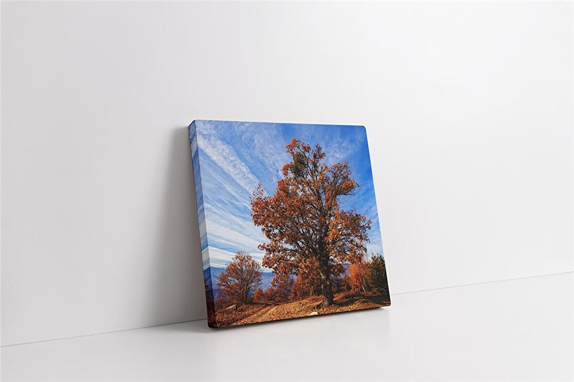 Çiçek Açmış Ağaç Kanvas Tablo