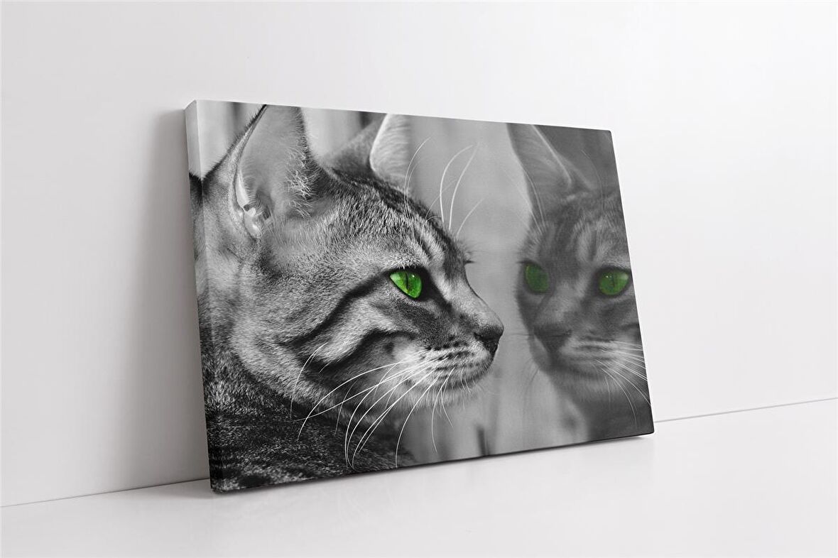 Siyah Beyaz Kedi Kanvas Tablo