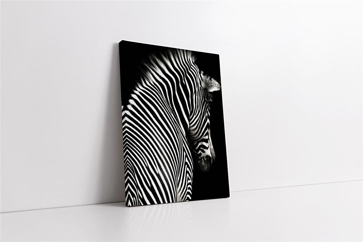 Yakın Çekim Zebra Kanvas Tablo