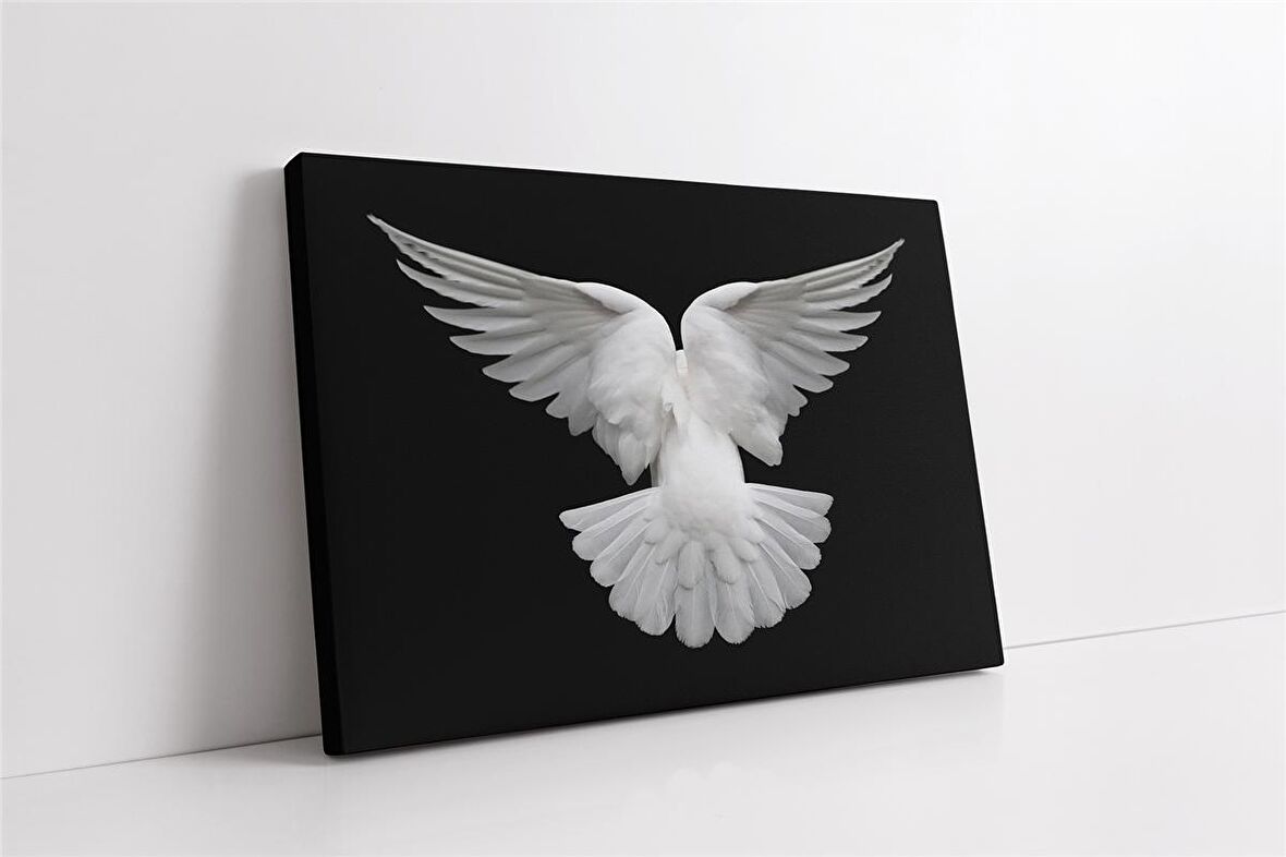 Güvercin Kanvas Tablo