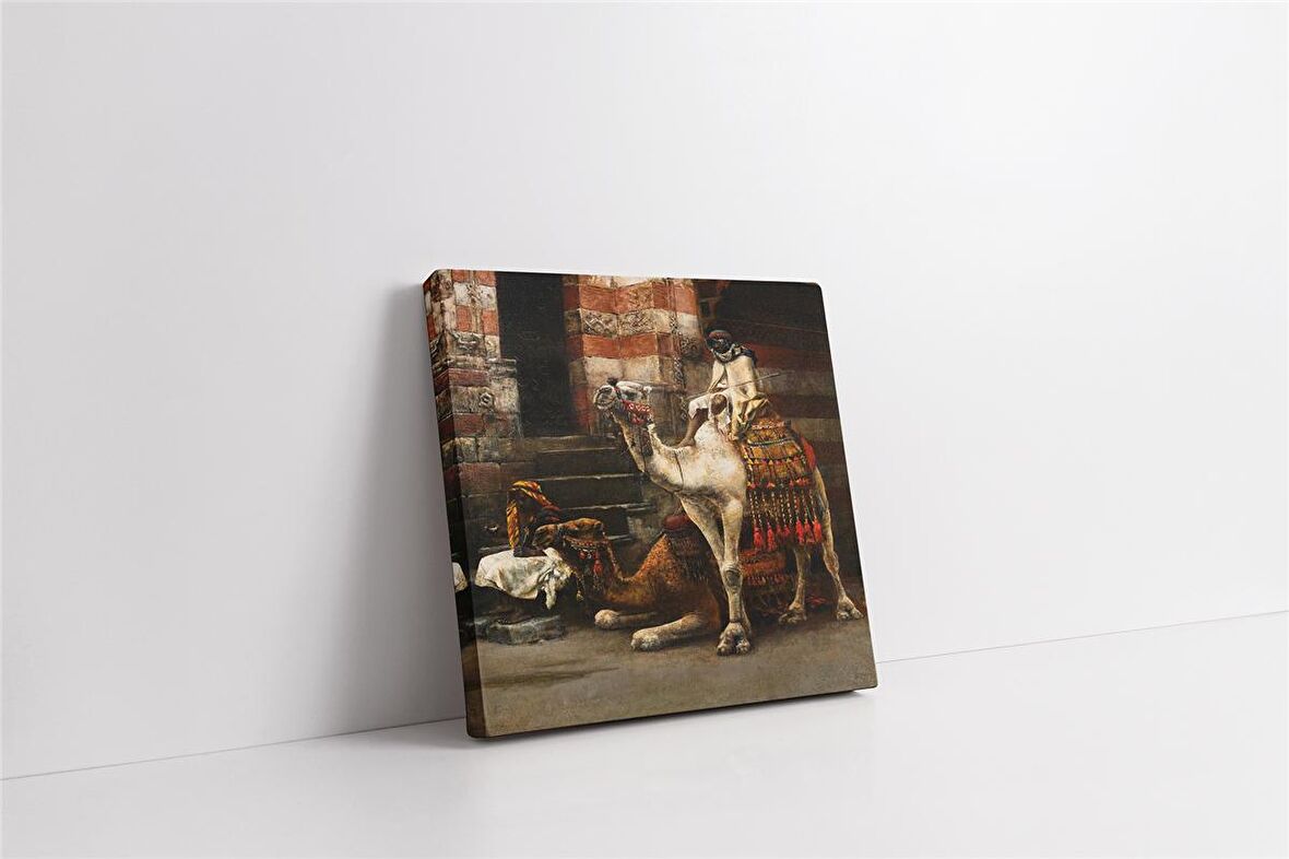 Kahire Bir Cadde Üzerinde Ki Develer Kanvas Tablo