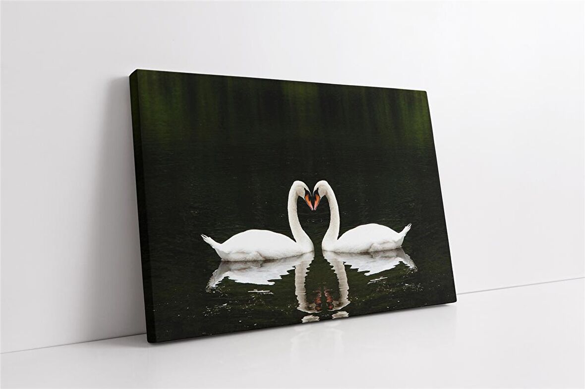 Beyaz Kuğu Kanvas Tablo