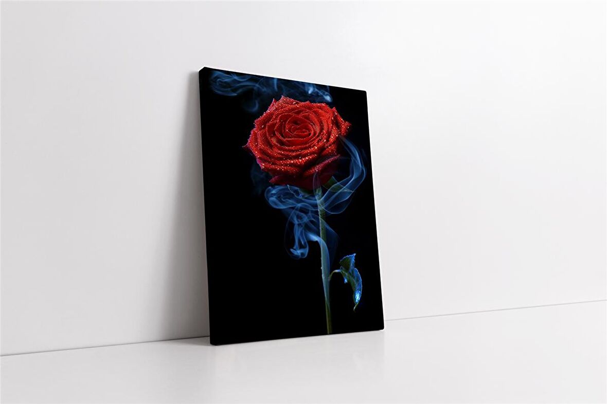 Kırmızı Gül Kanvas Tablo