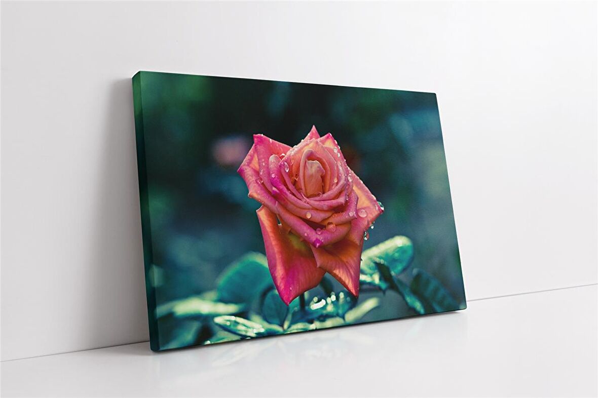 Pembe Gül Kanvas Tablo