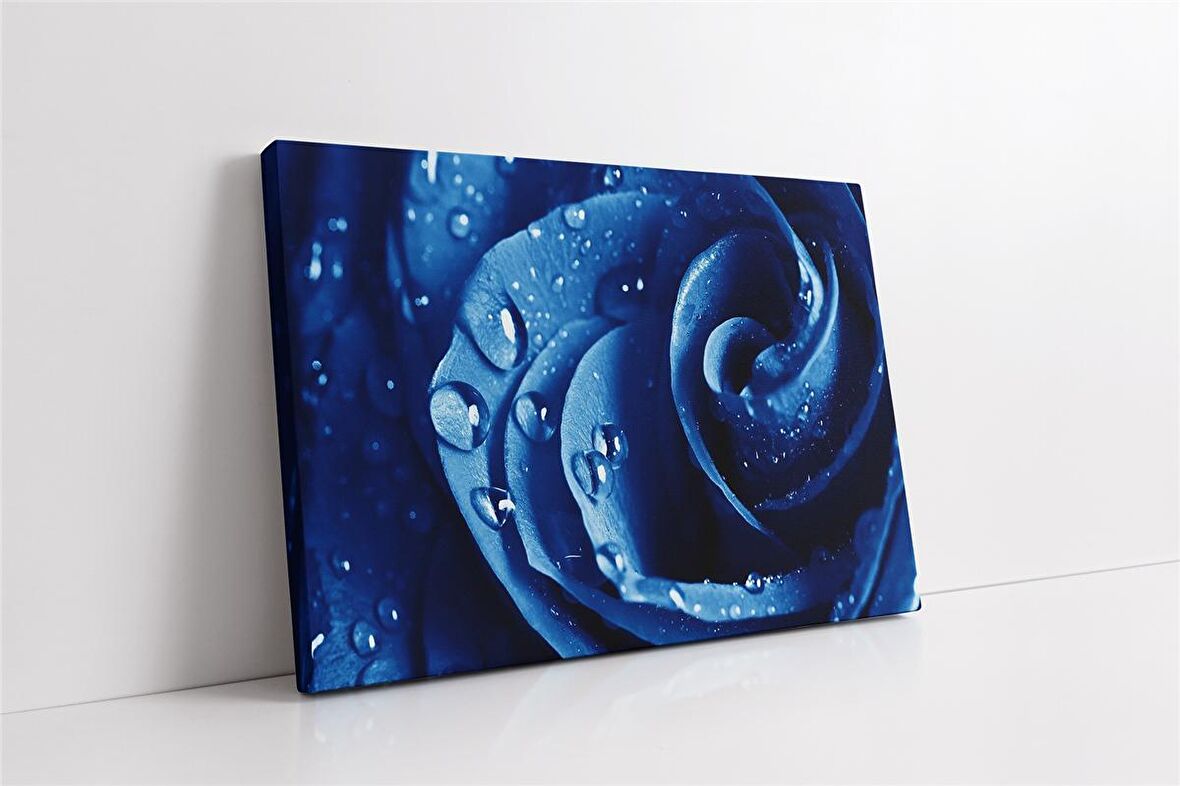 Mavi Gül İllüzyonu Kanvas Tablo