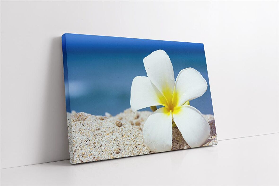 Beyaz Çiçek Kanvas Tablo