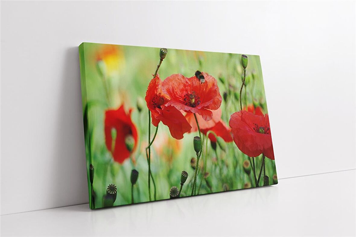 Kırmızı Çiçek Kanvas Tablo