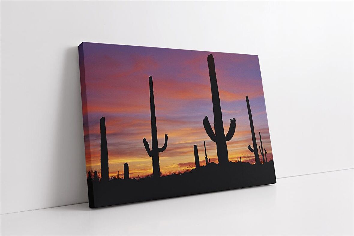 Gün Batımı ve Kaktüs Kanvas Tablo