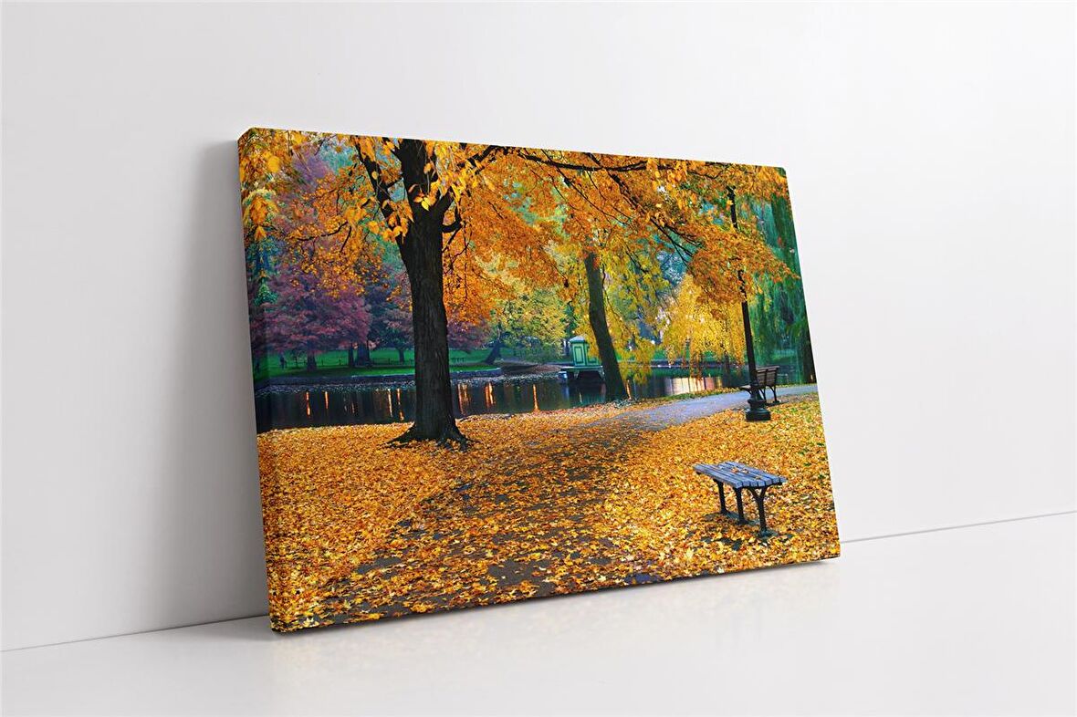 Sonbahar Yaprakları ve Park Kanvas Tablo