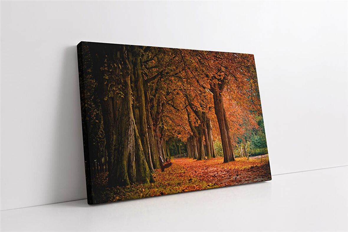 Park Kanvas Tablo