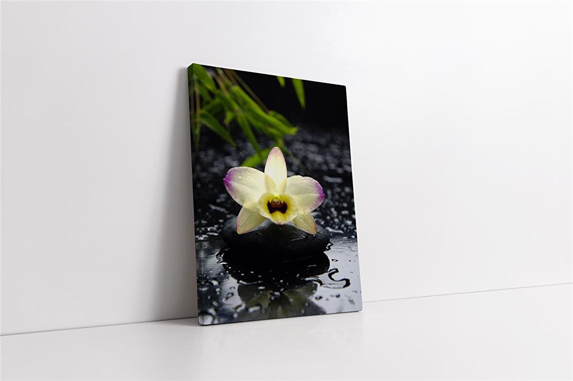 Spa Taşları ve Orkide Kanvas Tablo