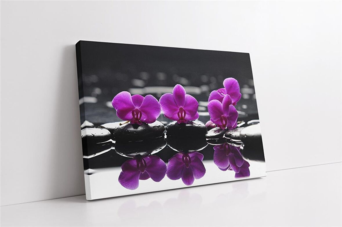 Spa Taşları ve Orkide Kanvas Tablo