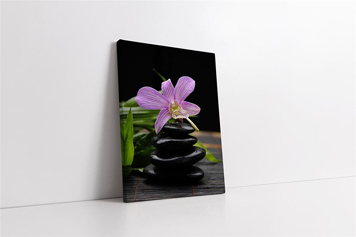 Spa Taşları ve Orkide Kanvas Tablo