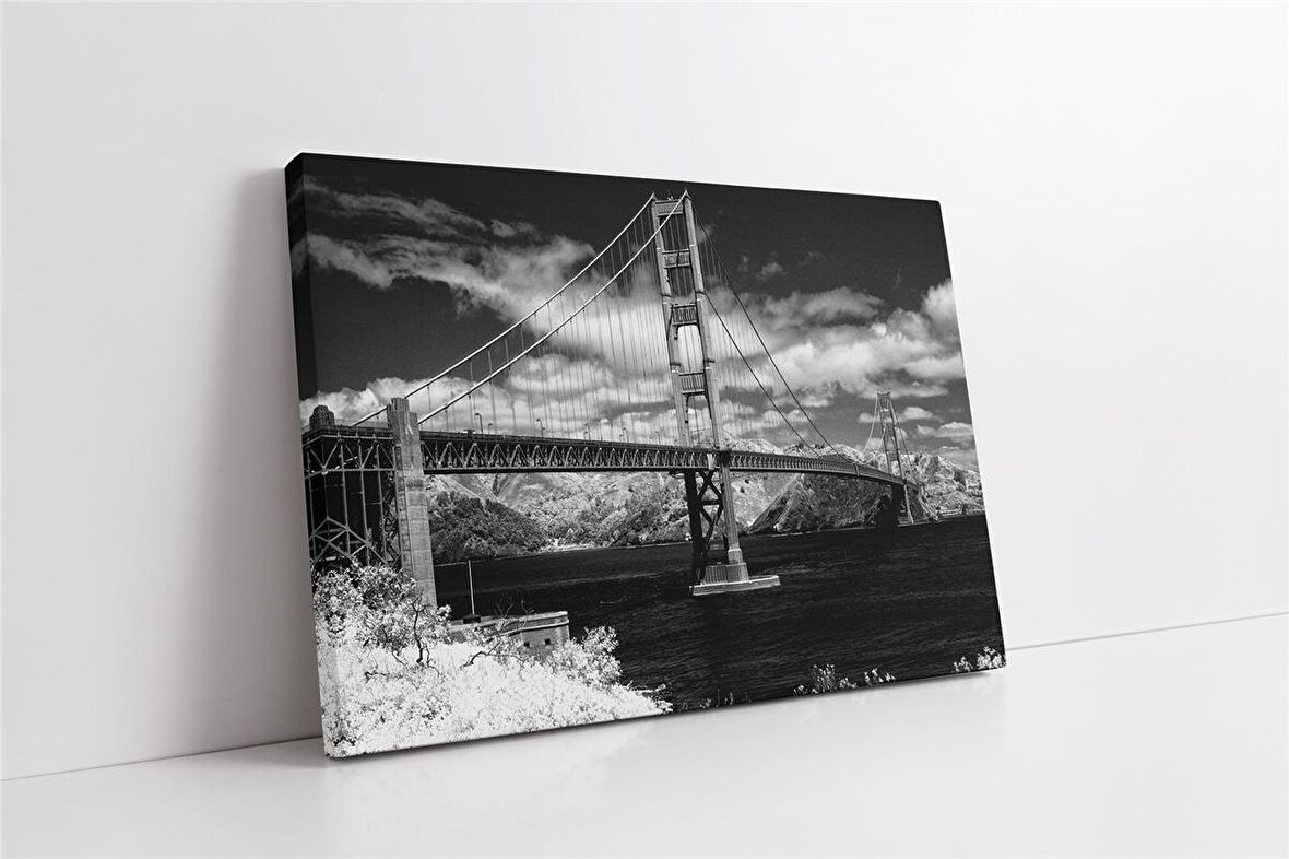 Siyah Beyaz Amerika Kanvas Tablo