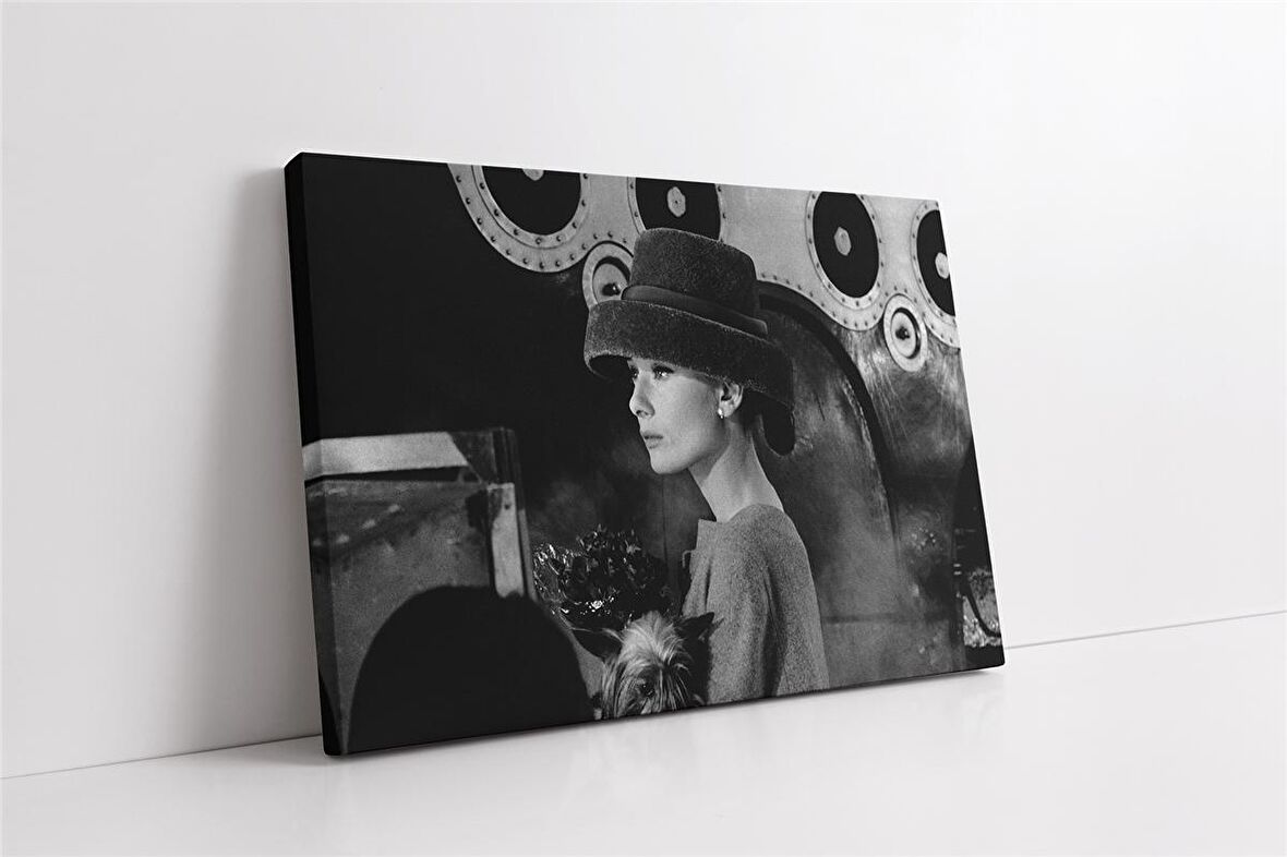 Audrey Hepburn Kanvas Tablo