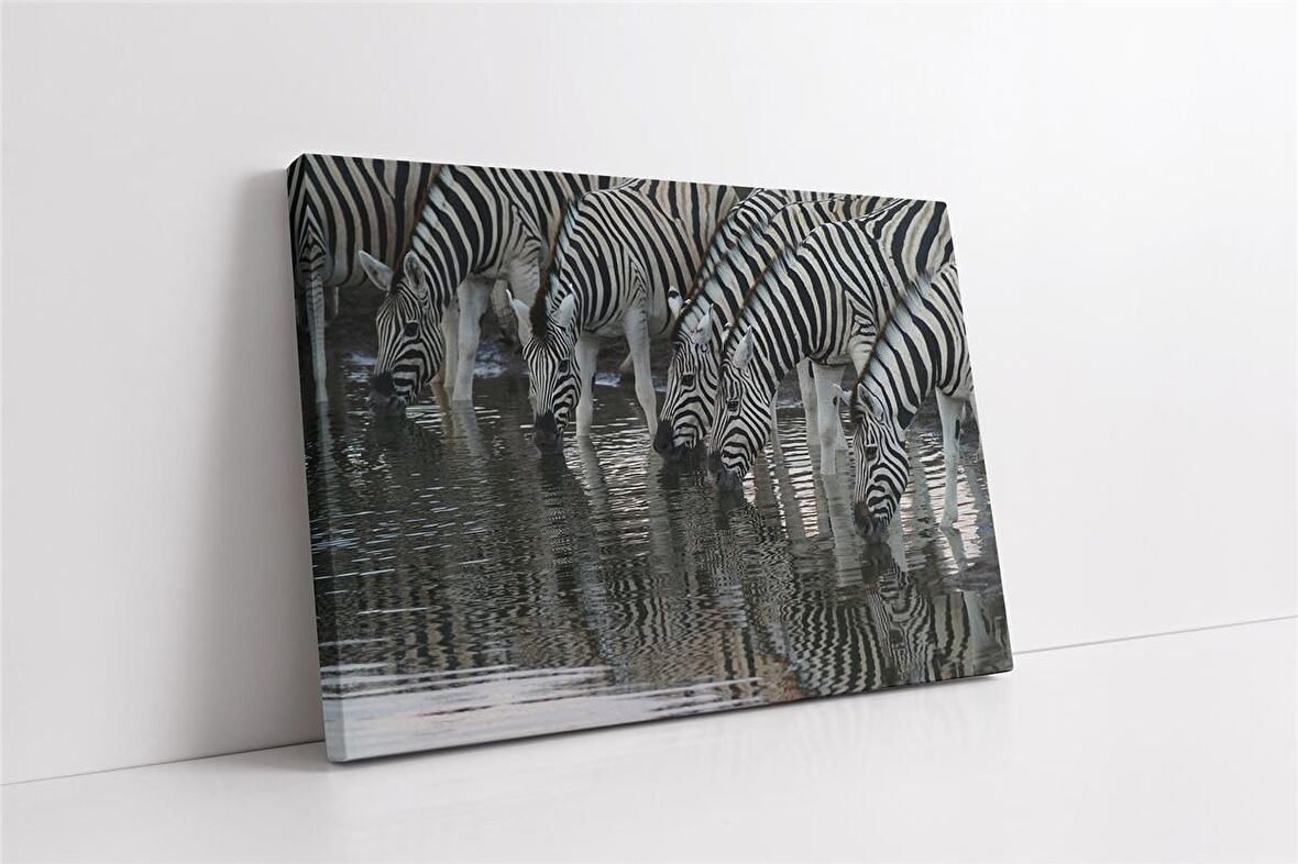 Zebra Sürüsü Kanvas Tablo