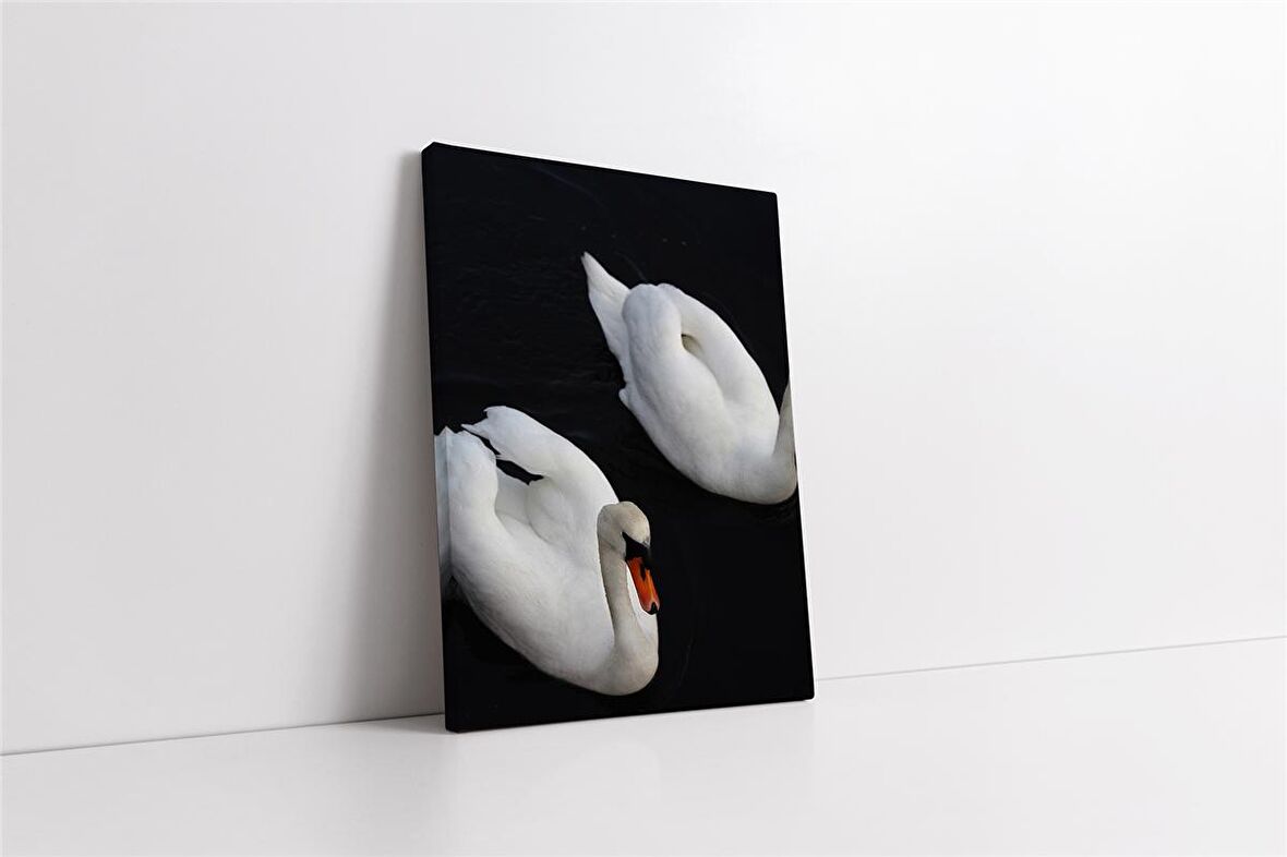 Beyaz Kuğu Kanvas Tablo