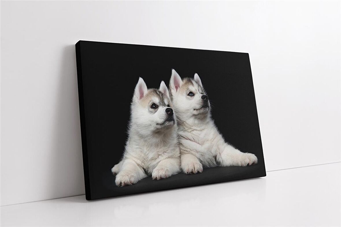 Beyaz Köpek Kanvas Tablo