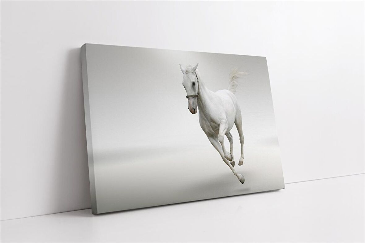 Koşan Beyaz At Kanvas Tablo