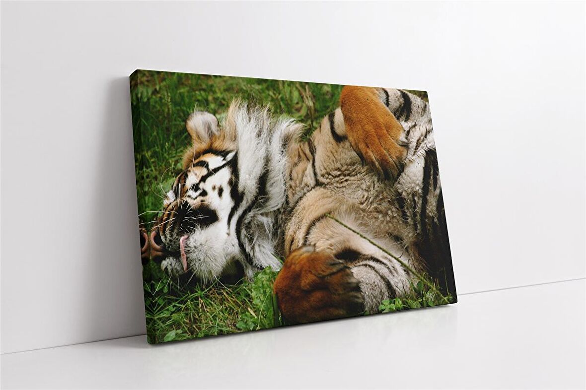 Vahşi Doğa Kaplan Kanvas Tablo