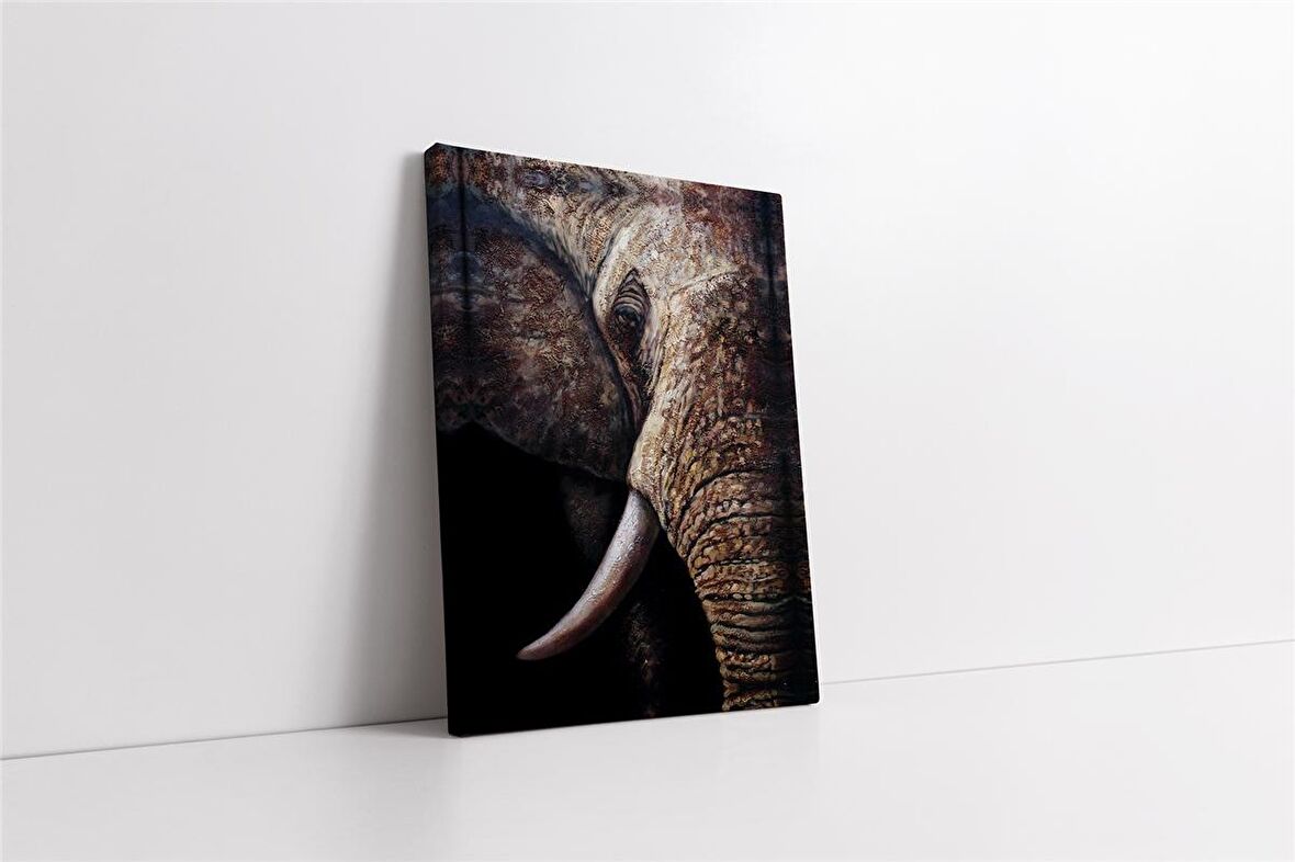 Filin Dişi Kanvas Tablo