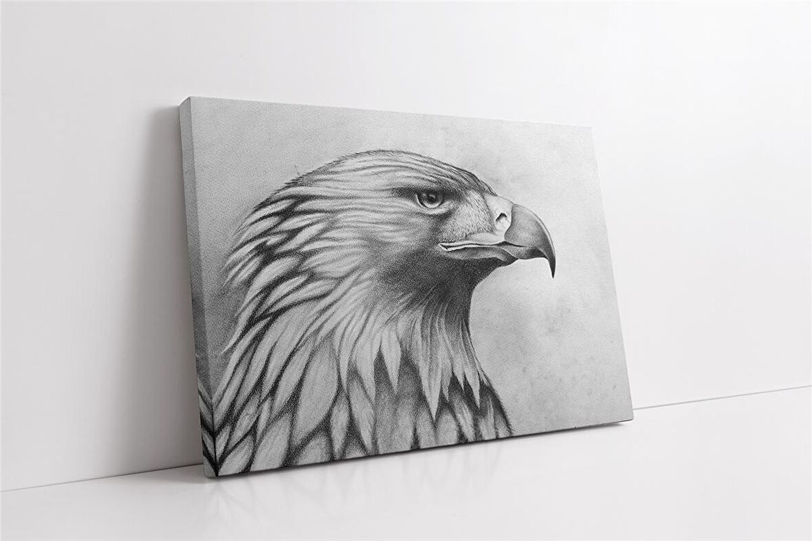 Karakalem Kartal Kanvas Tablo