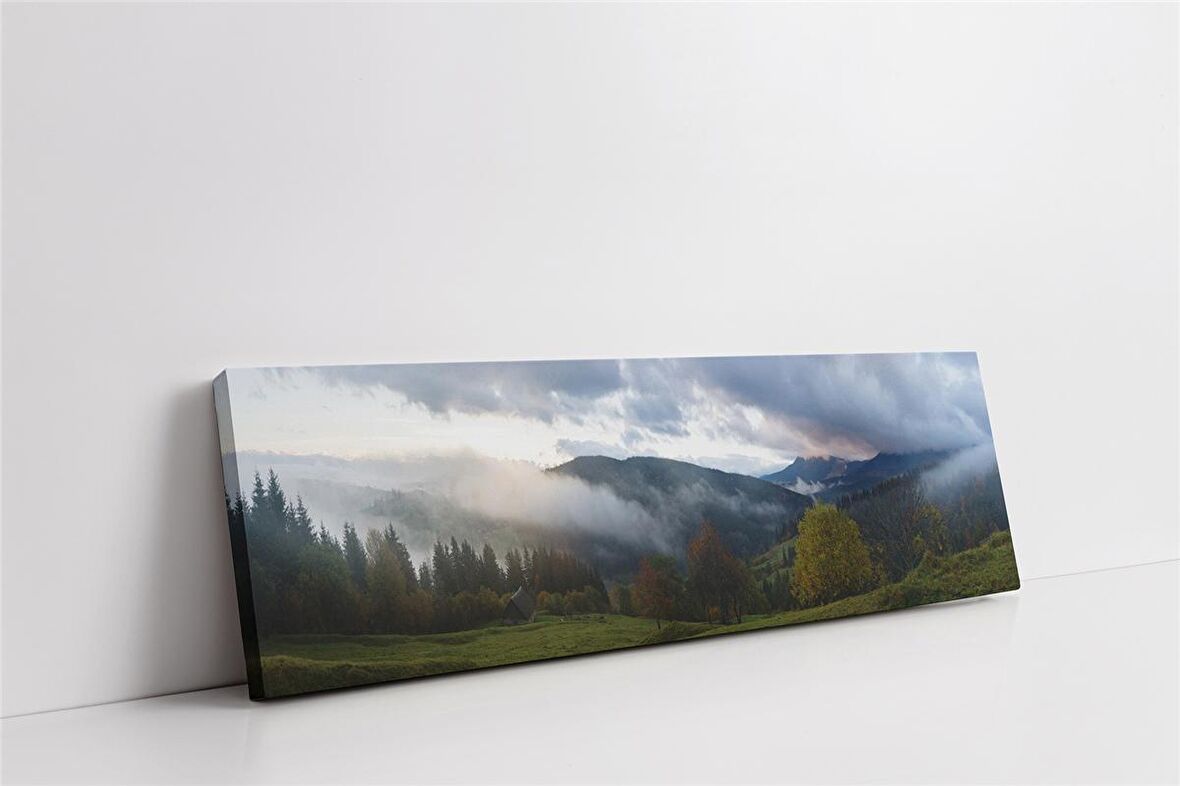 Panoramik Orman Manzarası Kanvas Tablo