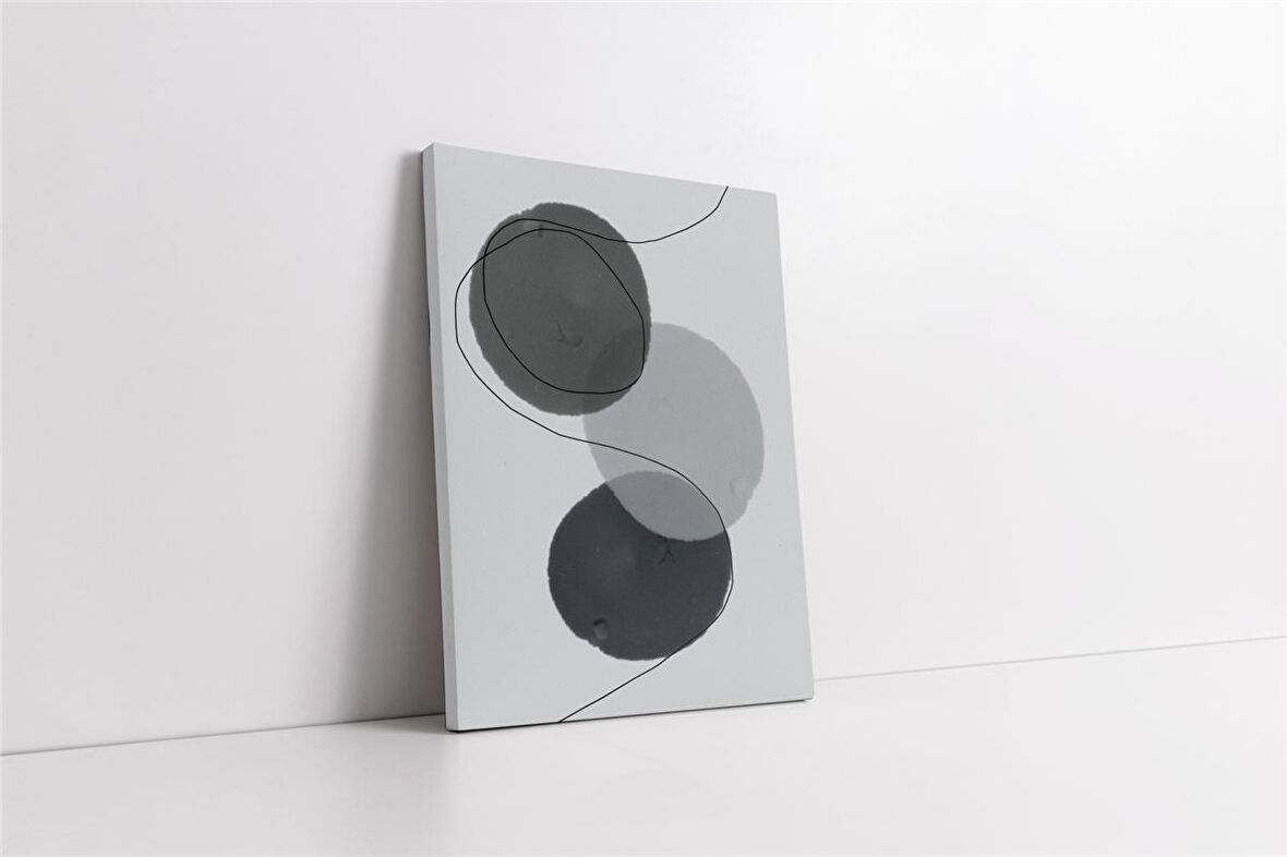 Line Art Soyut Daireler Kanvas Tablo