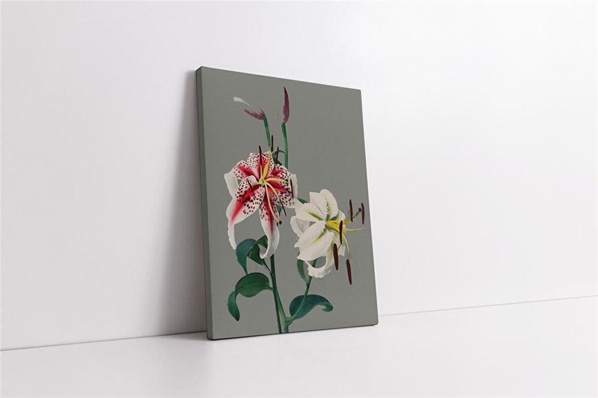 Gri Zeminde Çiçek II Kanvas Tablo