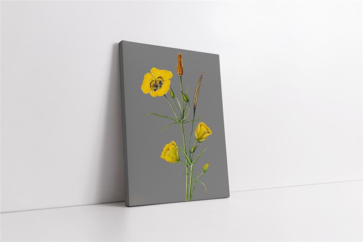 Gri Zemin Sarı Çiçek III Kanvas Tablo