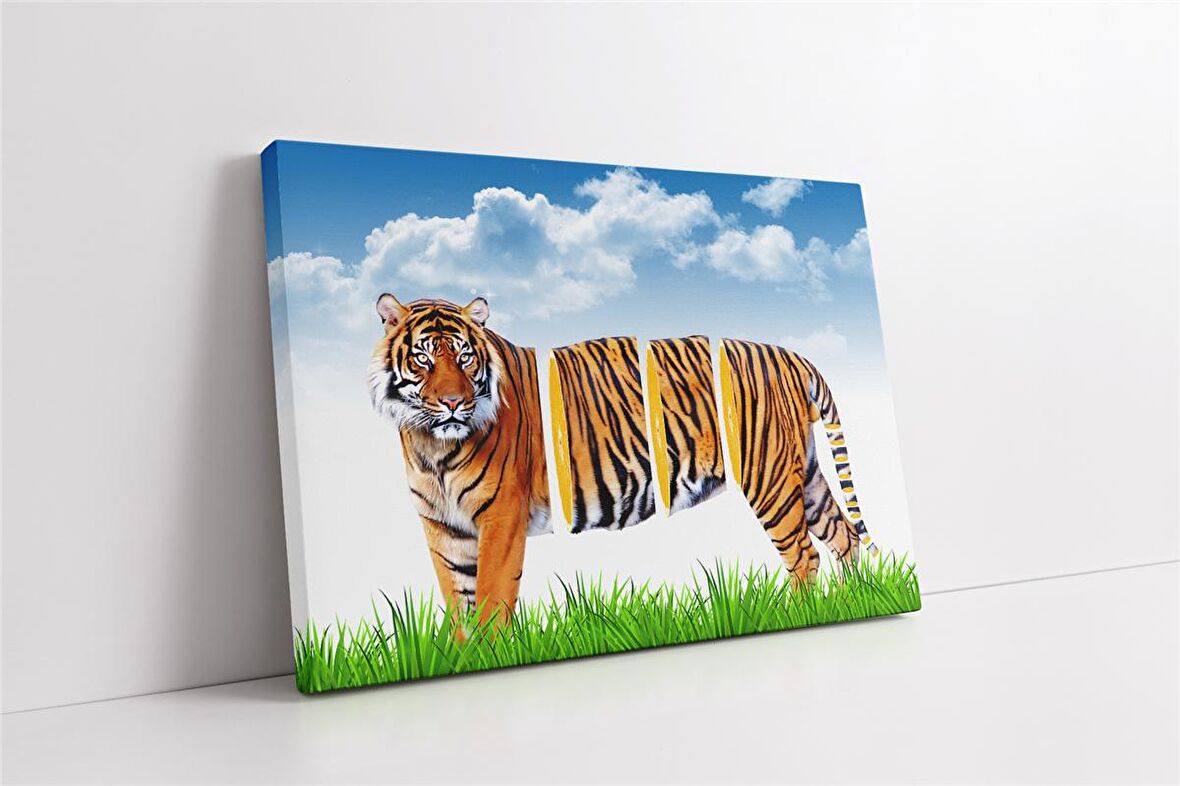 Kaplan Portakal Manipülasyon Kanvas Tablo