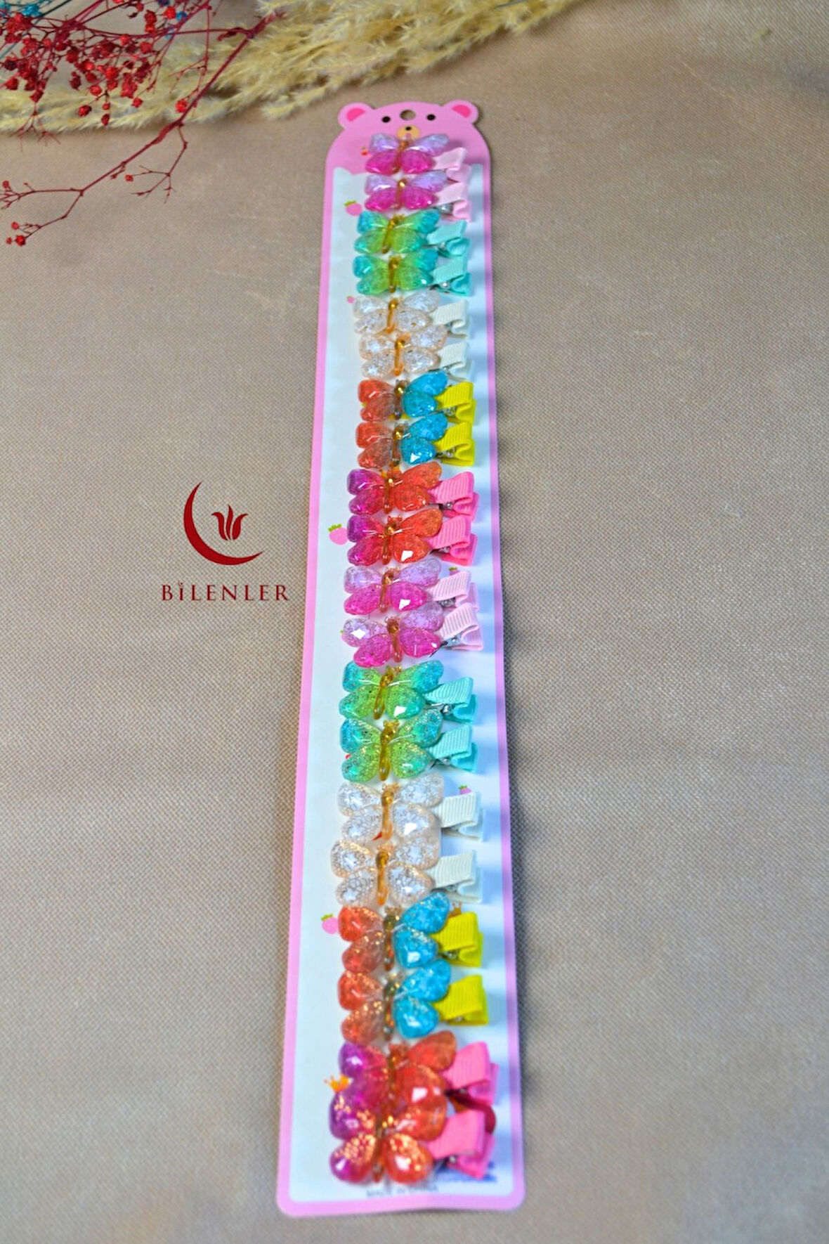 10 Çift Renkli ve Kelebek Figürlü Küçük Boy Mandallı Tokalar – Minik Saçlara Sevimli Dokunuş