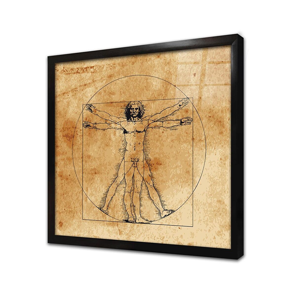 Vitruvius Adamı Leonarda da Vinci Çerçeveli Cam Tablo