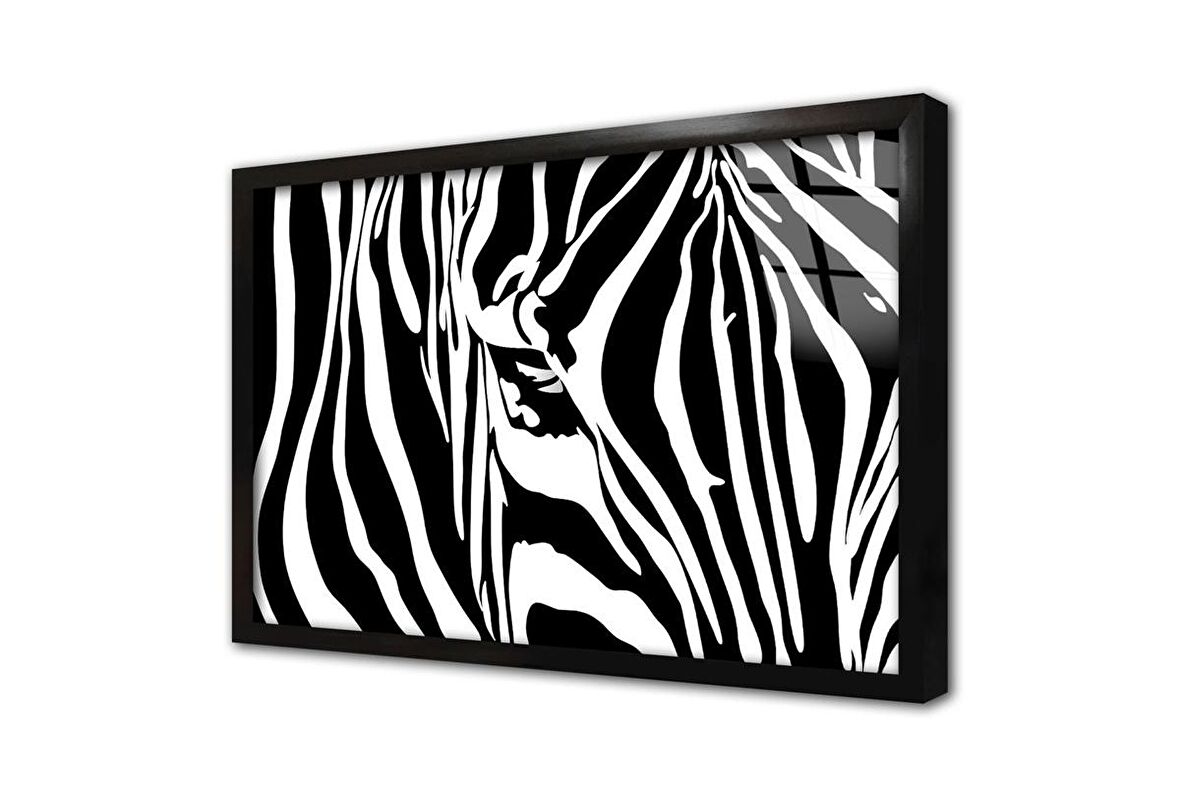 Yakın Çekim Zebra Çerçeveli Cam Tablo