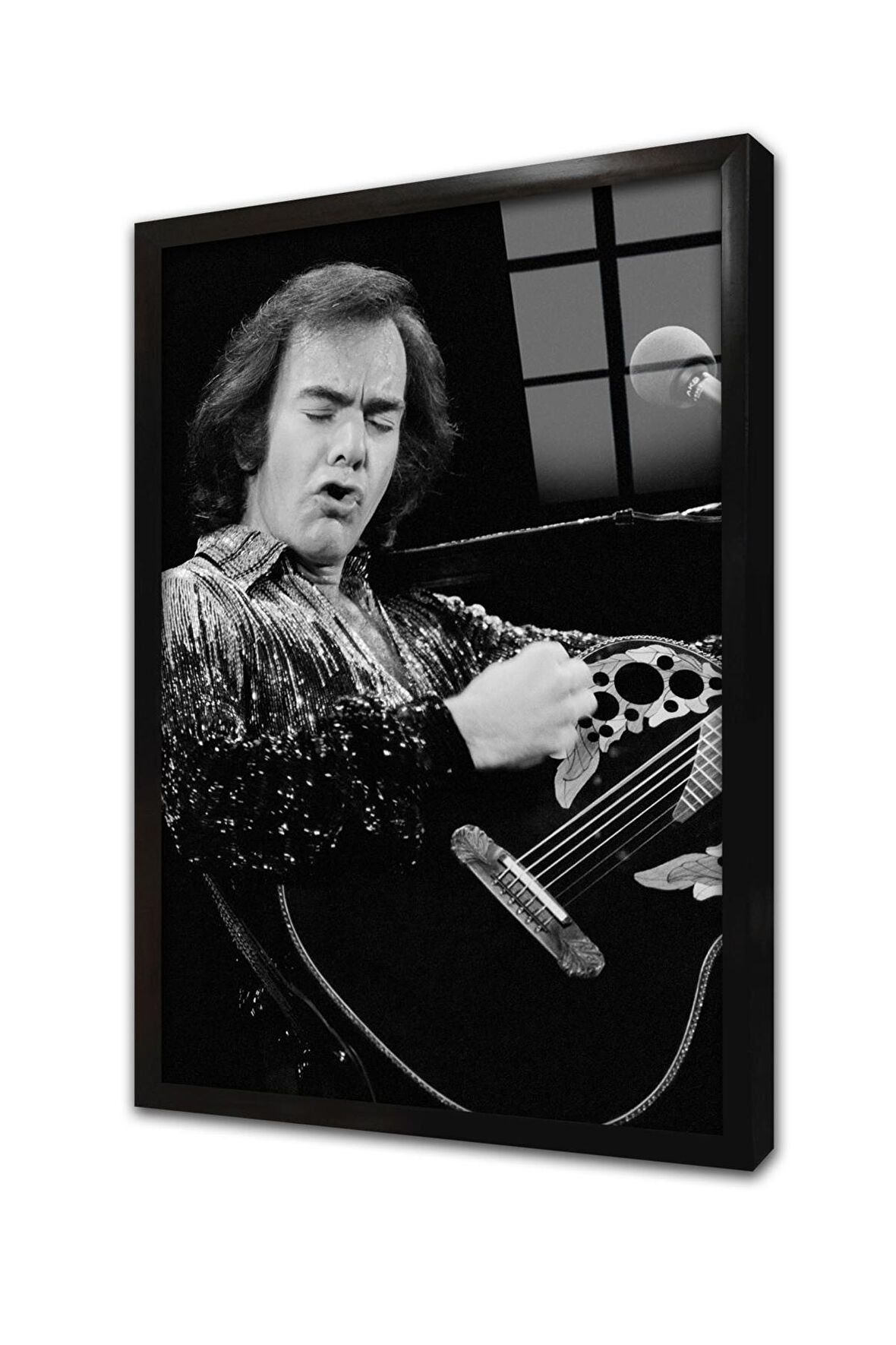 Musician Çerçeveli Cam Tablo