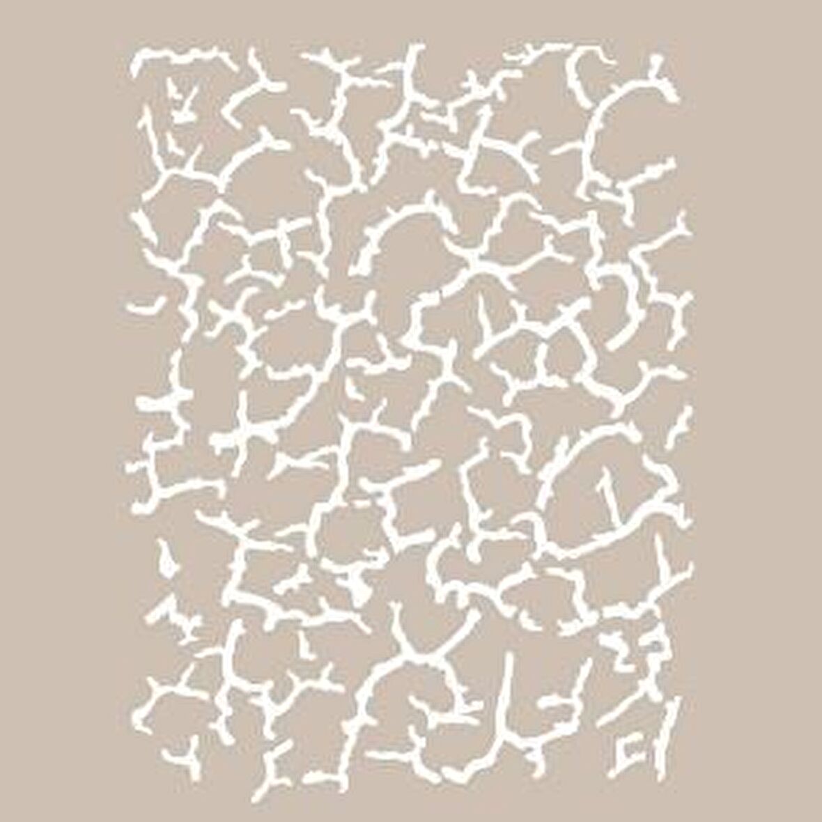 A4 SERİSİ STENCIL AS538 21X29