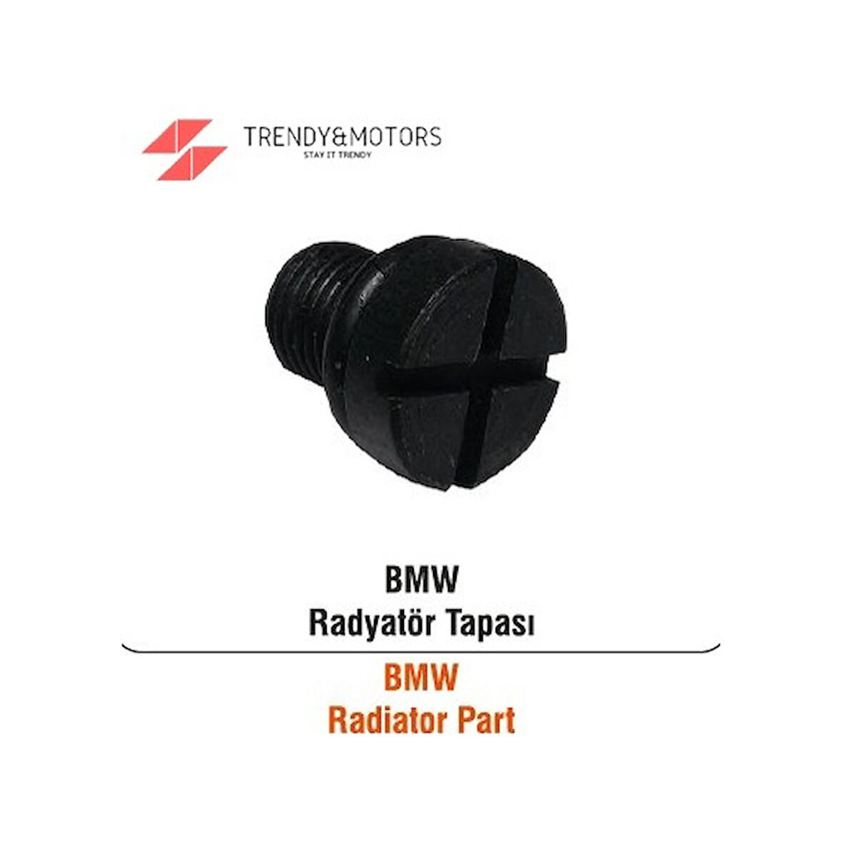 Bmw Mini Radyatör Tapası Hava Alma Tapası Metal 17111712788