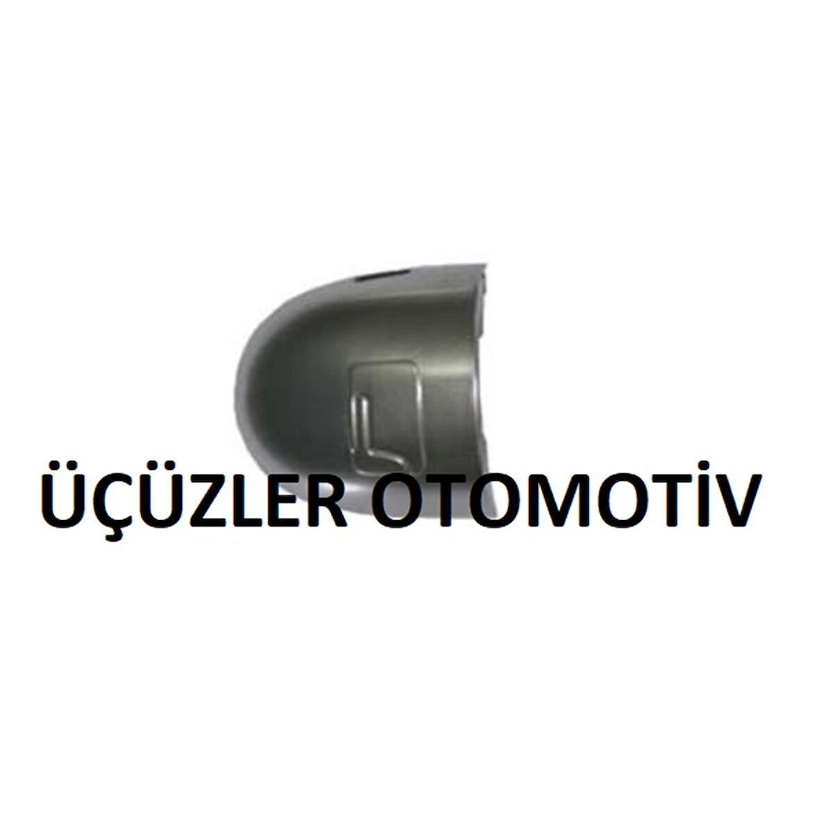 Kapı Şifre Kapağı Laguna Megane2 (Adet) 8200036411