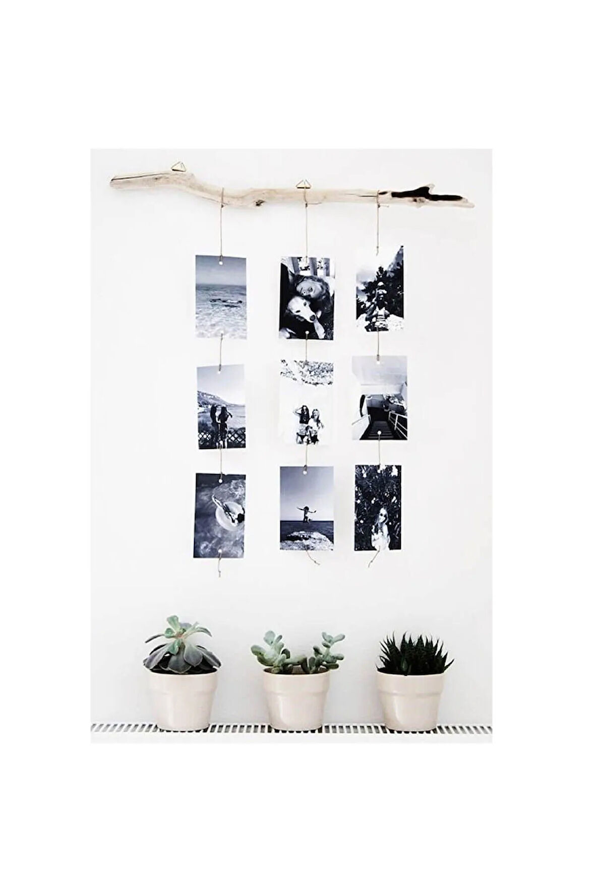 Dal Fotoğraflık Tre 3'lü