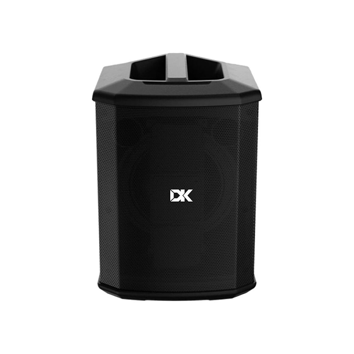 DK Technology IC-150 Akustik Gitar Amfisi