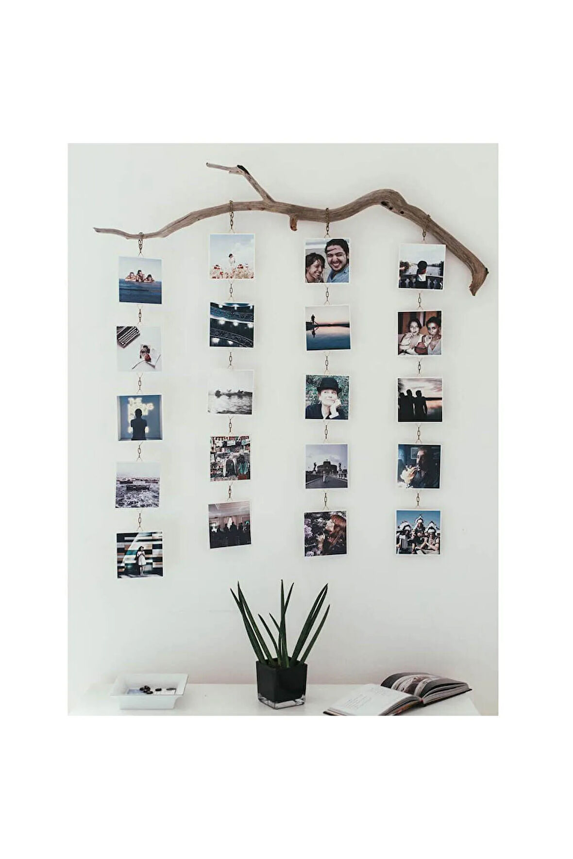 Dal fotoğraflık Four