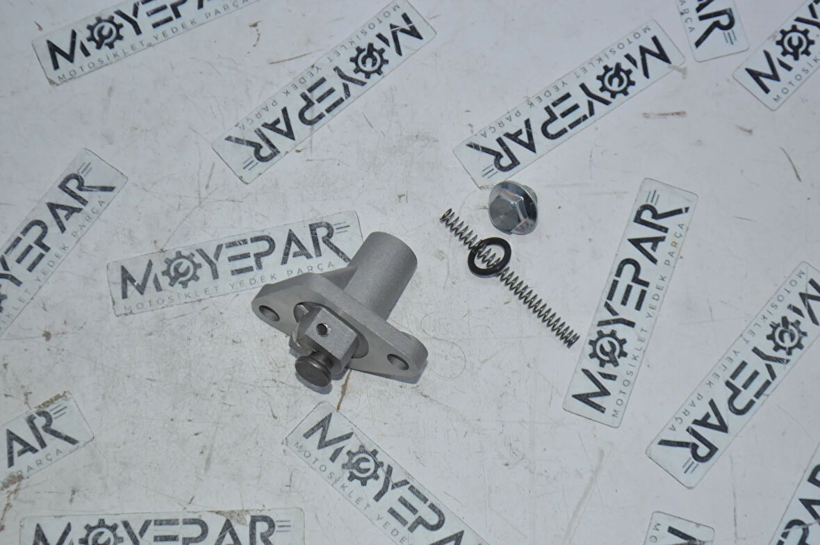 RSV 065 MONDİAL RESSİVO RKS VIESTE 249 EKSANTRİK ZİNCİR GERGİSİ (MSR)