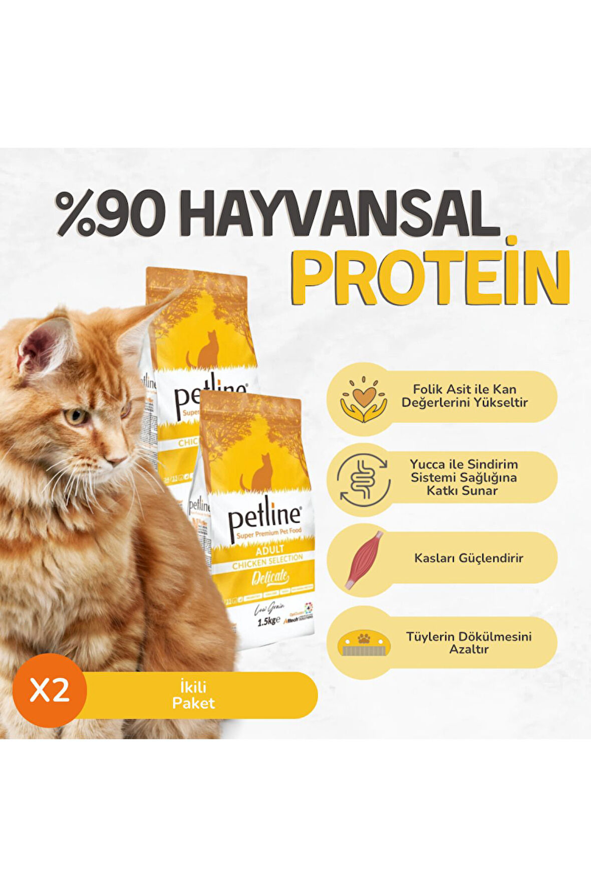 Tavuklu Yetişkin Kedi Maması 3kg (2 X 1.5KG) - Delıcate