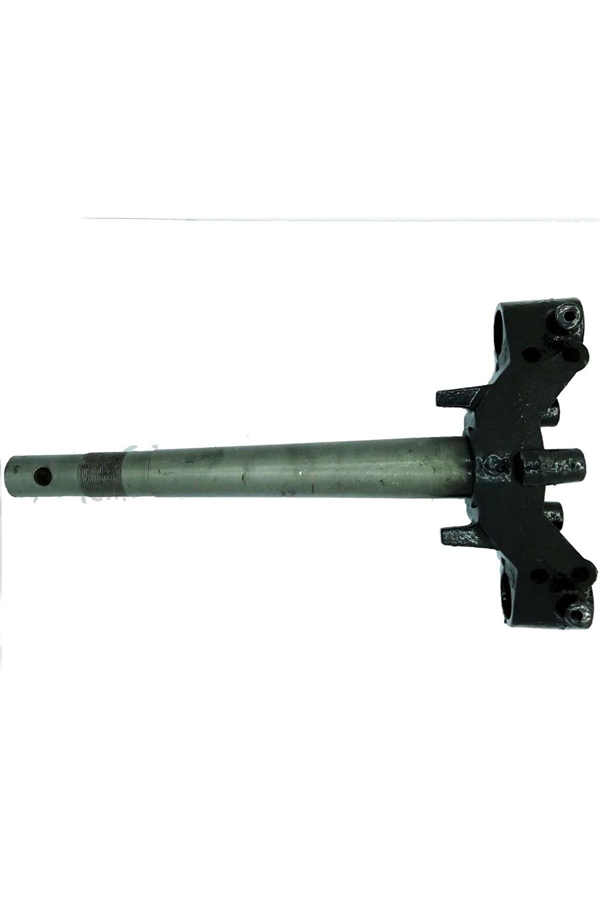 Asya CUB TÜRK 100-7 MAŞA