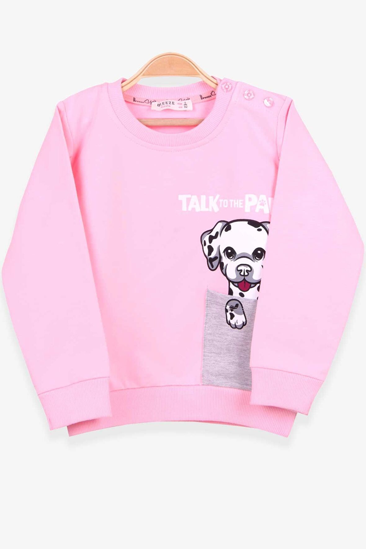 Breeze Kız Çocuk Sweatshirt Köpek Baskılı 2-6 Yaş, Pudra