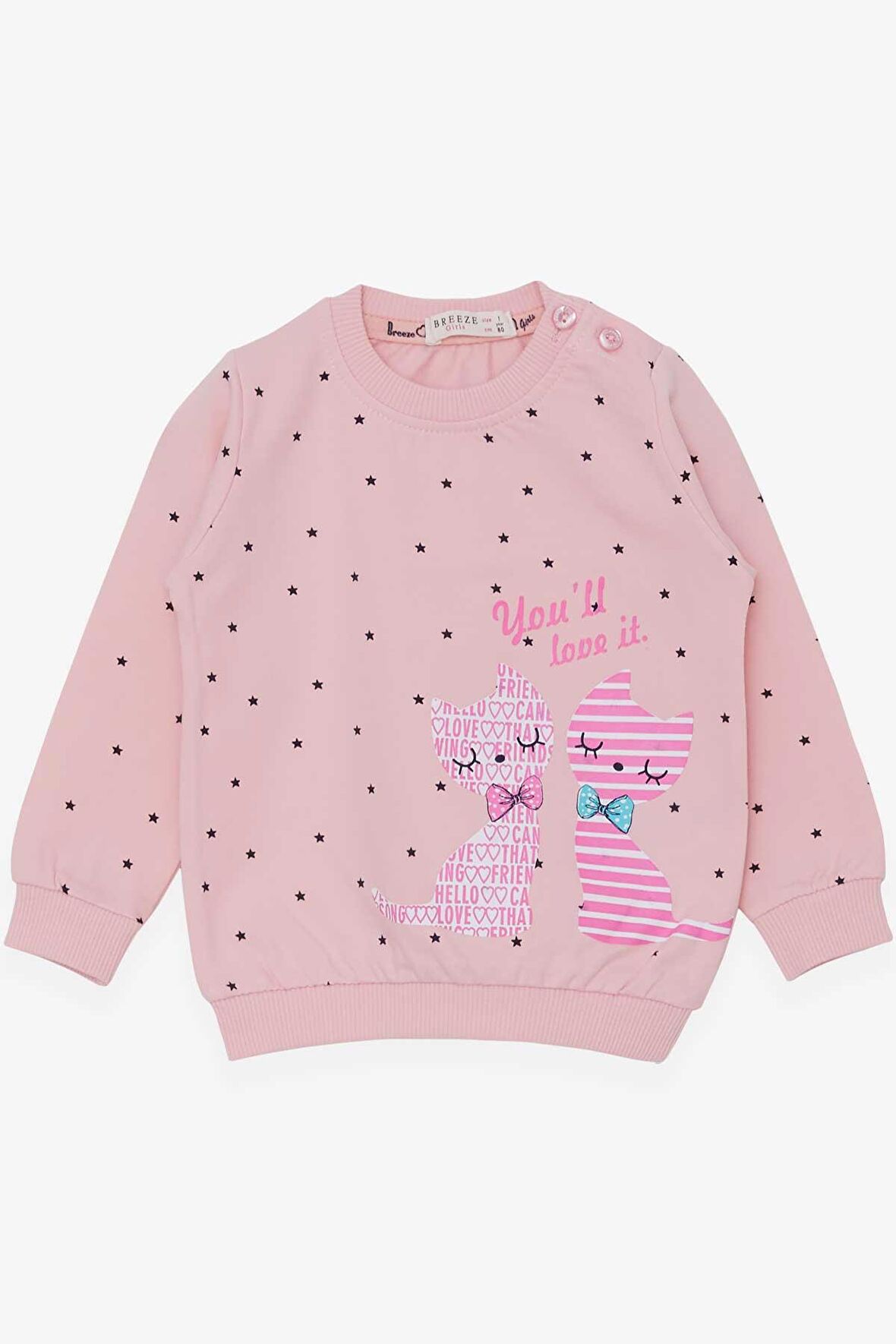 Breeze Kız Bebek Sweatshirt Mutlu Kedicikler 4 Ay-1.5 Yaş, Pudra